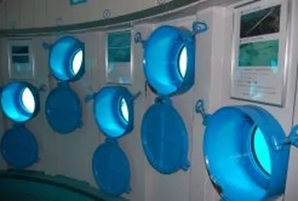 ブセナ海中公園 海中展望塔の写真・動画_image_6988