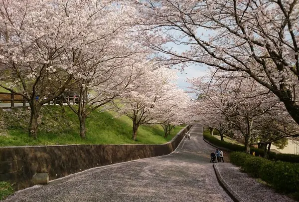 グラウンド付近の道路