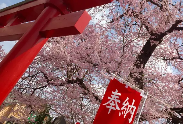 経塚稲荷神社の写真・動画_image_70171