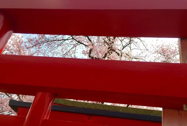 経塚稲荷神社の写真・動画_image_70172