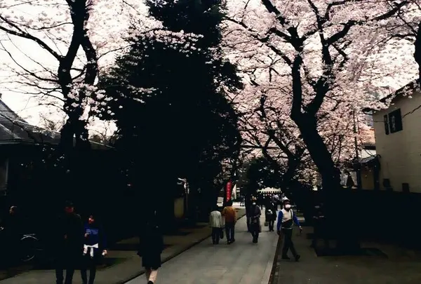 法明寺の写真・動画_image_70192