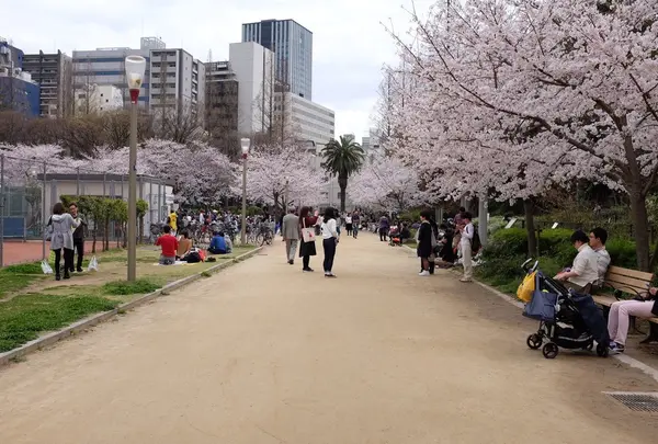 靱公園の写真・動画_image_70376