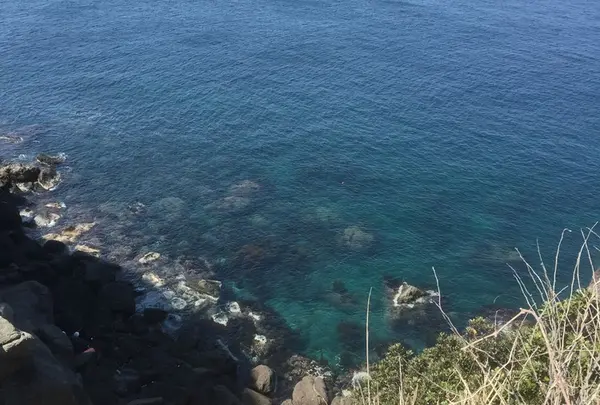 海が綺麗