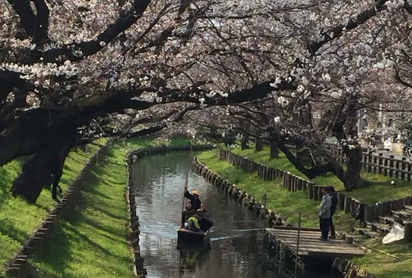 神社の境内を抜けると‥‥