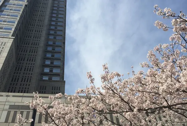 東京都庁の写真・動画_image_70993