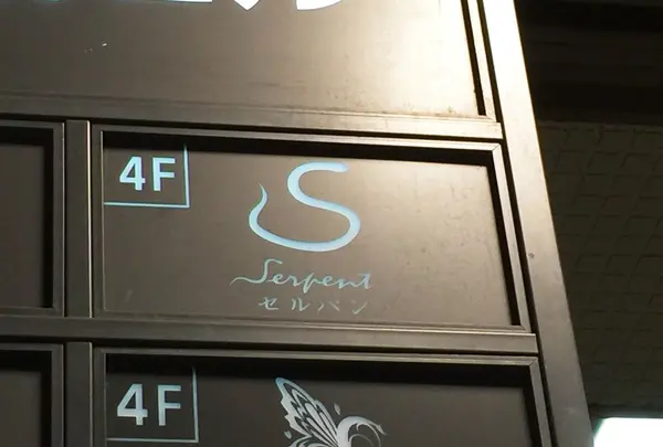 セルパンの写真・動画_image_71186