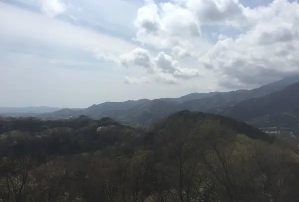 山側の景色