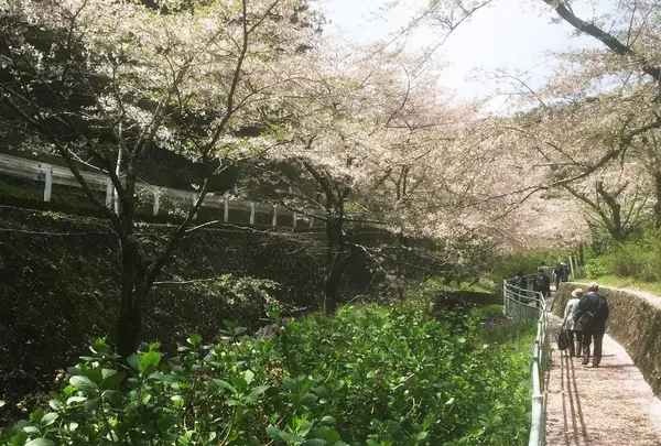 遊歩道