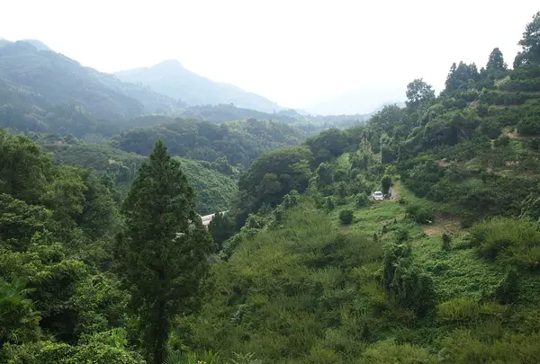 窓からの景色