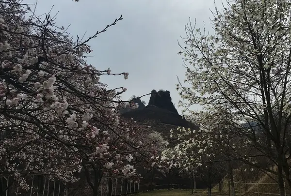 穴場です‼︎