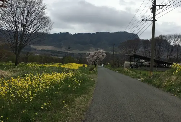 農道にあります