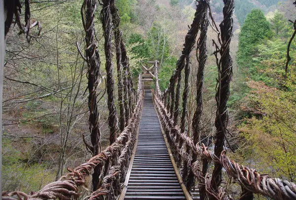 男橋