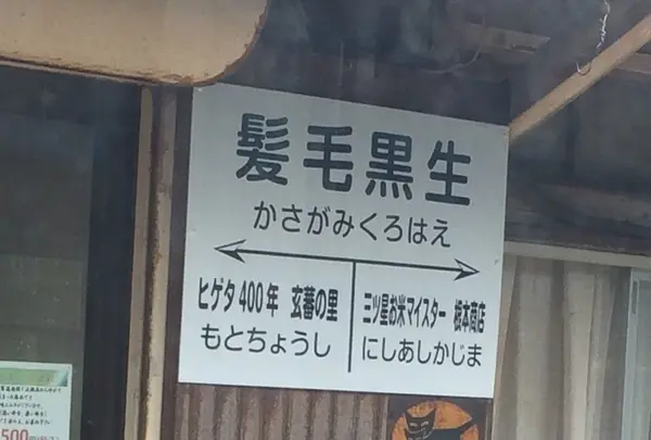 笠上黒生？髪毛黒生？