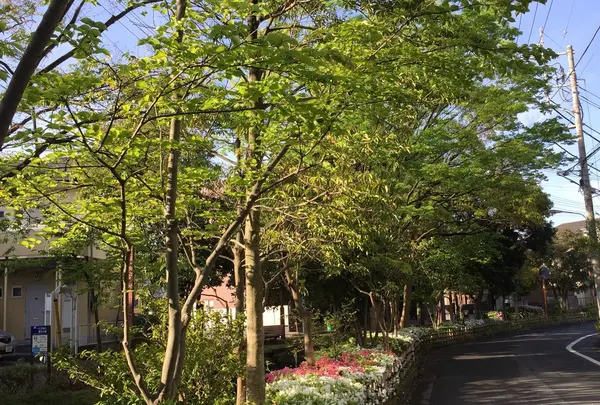 古川親水公園の写真・動画_image_73498