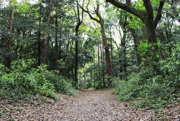 PLACE