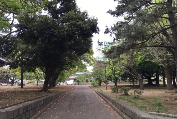 散歩