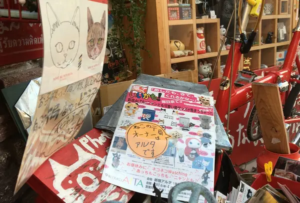 ねこの郵便局というなまえのお店の写真・動画_image_74041
