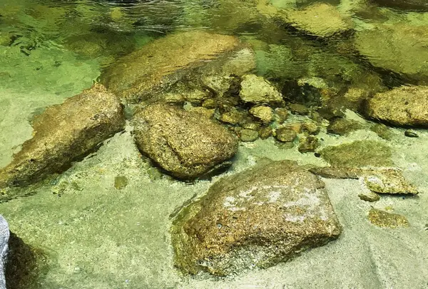 南アルプスの天然水