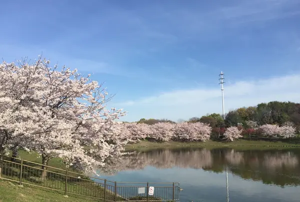 花博記念公園鶴見緑地の写真・動画_image_74773