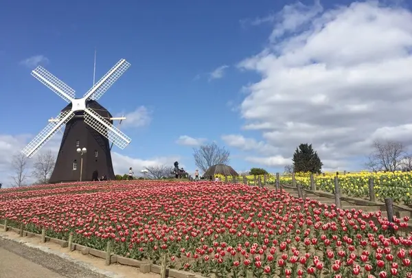 花博記念公園鶴見緑地の写真・動画_image_74776