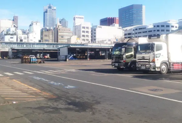 東京都中央卸売市場築地市場の写真・動画_image_75019