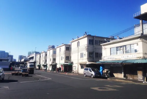 東京都中央卸売市場築地市場の写真・動画_image_75020