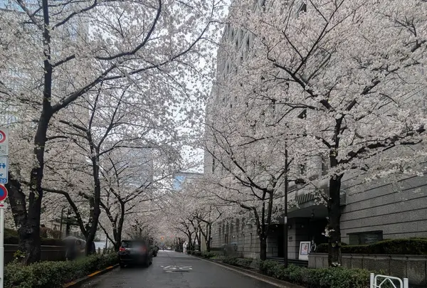貨幣博物館の写真・動画_image_751489