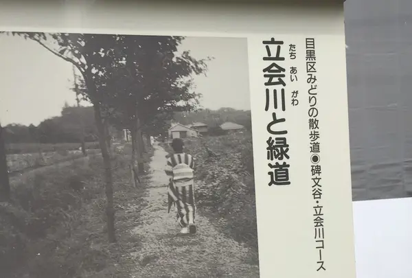 緑道