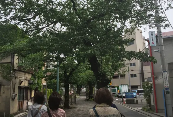 緑道