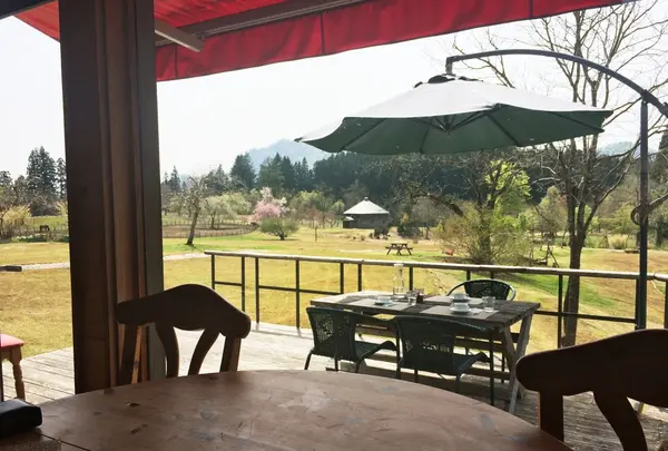 席から見える景色