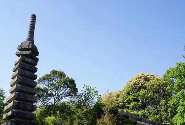 頂上まで登ると…