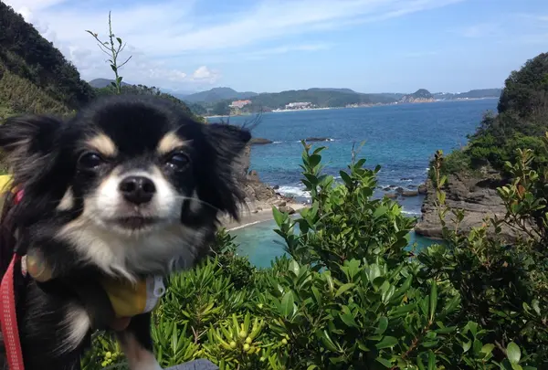 天窓を上ると…