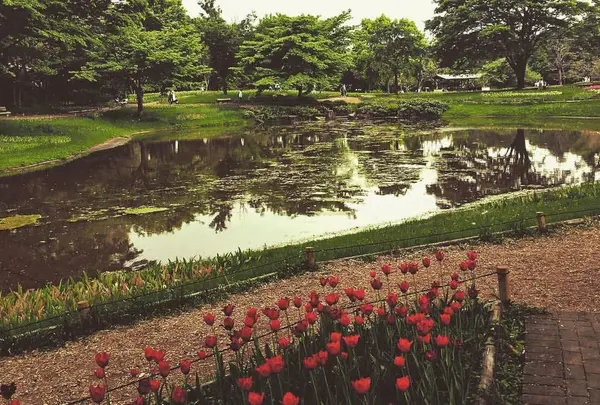 お花畑ゾーン