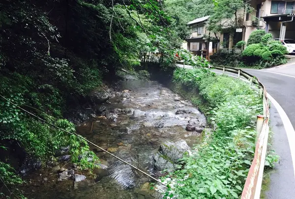 奥宮まで歩きます