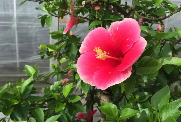 植物園