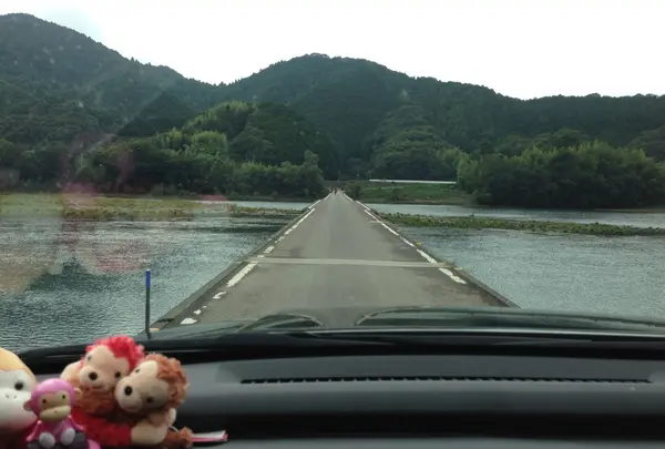 車で走ると…
