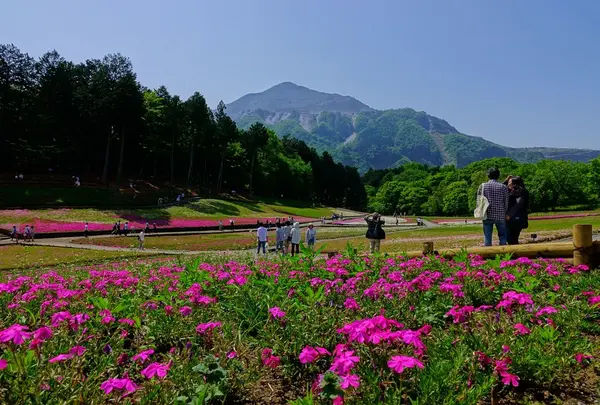 羊山公園の写真・動画_image_76009