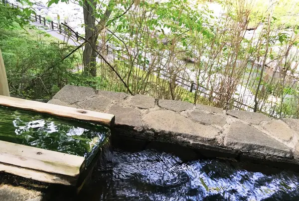 敷地内の川沿いには足湯も♨️