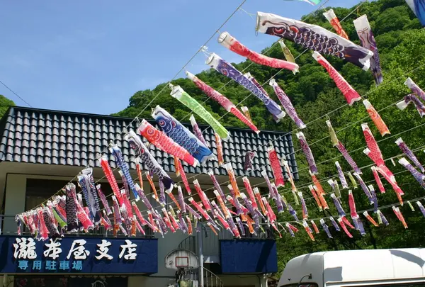 期間限定鯉のぼり