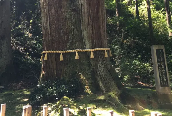 三本杉