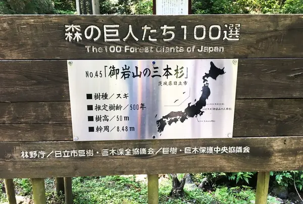 森の巨人たち100選