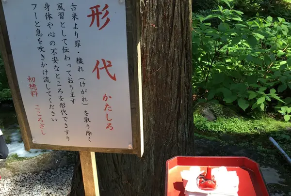 これは、見たことあるぞ、、、！