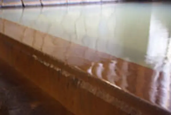 湯元 湧駒荘の写真・動画_image_7662