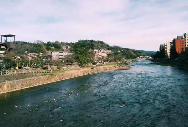 ひがし茶屋街の写真・動画_image_76696