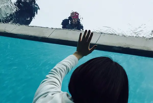 金沢21世紀美術館の写真・動画_image_76748