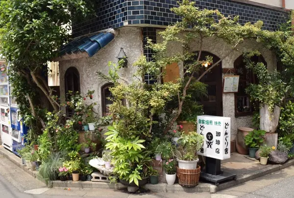 どんぐり舎の写真・動画_image_77192