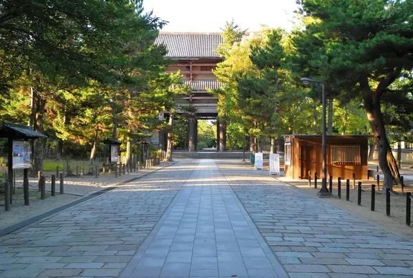 やっぱり早朝がオススメ