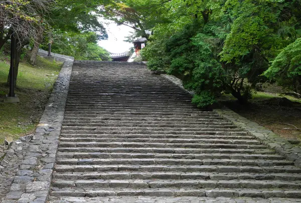 奈良東大寺境四月堂の写真・動画_image_7724