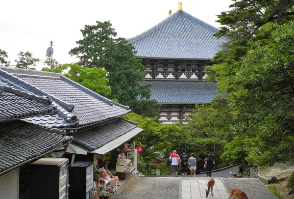 奈良東大寺境四月堂の写真・動画_image_7725