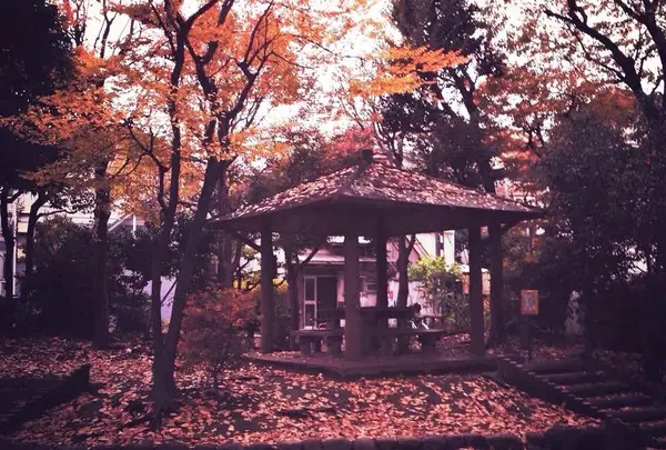 桃園川緑道